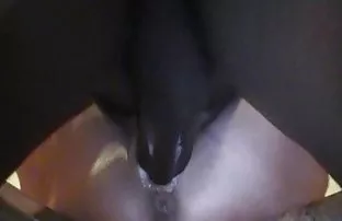 XXX વાહિયાત ભવ્ય સોનેરી